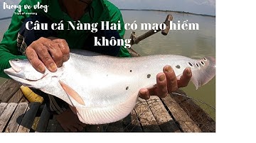 Nghề Câu Cá Nàng Hai l Câu Cá Thác Lác Cườm Có Gì Mạo Hiểm