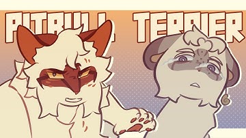 pitbull terrier // animation meme