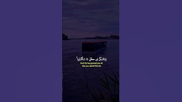 #تلاوة_خاشعة ايات منوكتاب الله ارح قلبك وسمعك #القرآن_الكريم #اكسبلور #راحة_نفسية #لايك #تلاوات