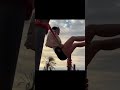 #Sports and fitness#Core strength#Inverted stand#Flexible physical fitness#Sports girl
