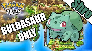 Bulbasaur and the Hidden Village: Episode Review