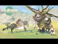 馬術と弓術を会得したリンクのライネル一騎打ち！【ゼルダの伝説 ティアーズ オブ ザ キングダム】