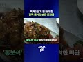 전통 깊은 한국의 중식 문파 정리해봄 #중식 #shorts #스브스뉴스