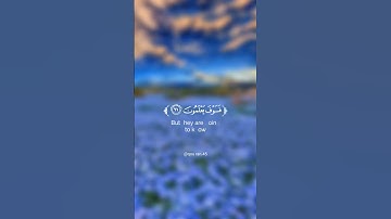 ﴿فوربك لنسألنهم أجمعين...﴾ تلاوة خاشعة للقارئ الشيخ هزاع البلوشي ✨