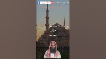 ❤ سورة النصر بصوت يفوق الوصف ❤