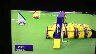 Ferris TV Coverage Westminster Kennel Club WKC Finals Agility Championship