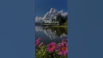 قران كريم راحه نفسيه وعسى أن تكرهوا شيئا وهو خير لكم (حالات واتساب دينيه)