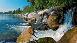 Relaxing Stream For Stress, Anxiety, Detox Negative Emotions, Calm Nature, Healing, Sleep, lake