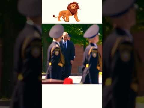 Putin Lion King #moscow #russia #putin #vladimirputin #kremlin #sigma #sigmarule