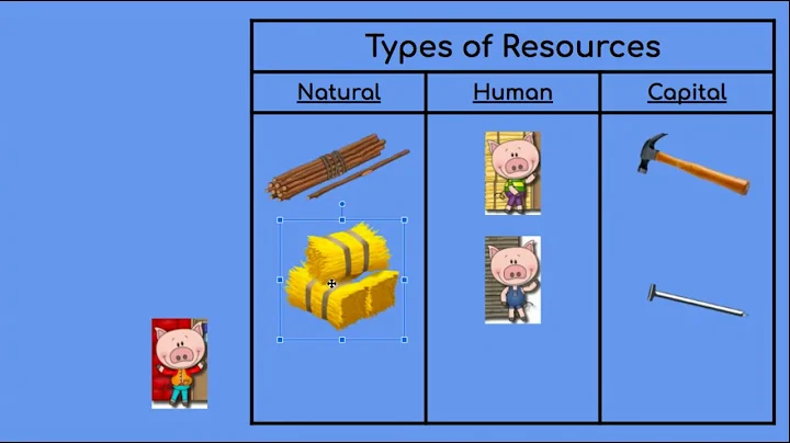 3 Types of Resources: Natural, Human, and Capital - DayDayNews