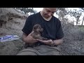 Brave Man Rescues 9 Abandoned Puppies From Deep Inside Cave