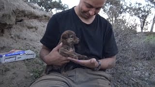 Brave Man Rescues 9 Abandoned Puppies From Deep Inside Cave