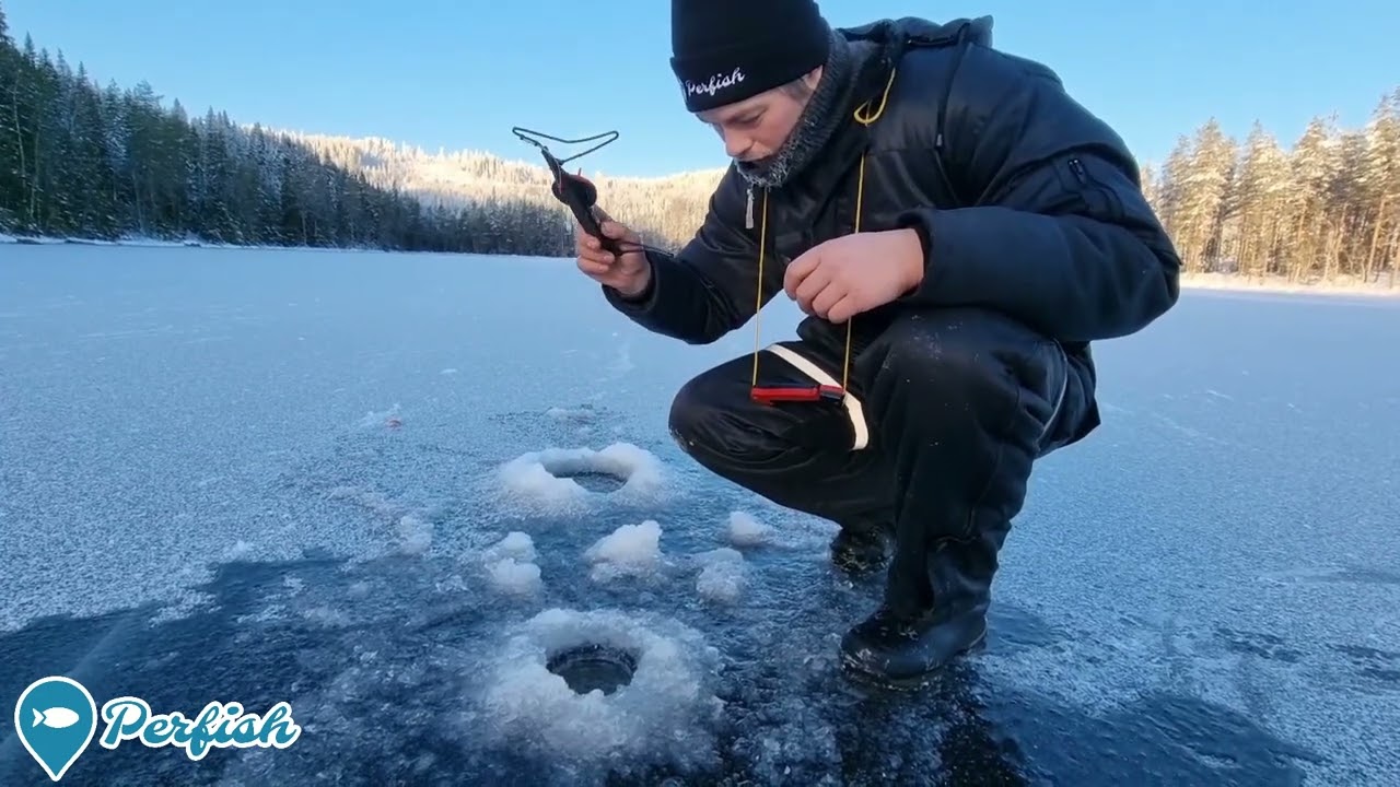 En kald dag på Kalsjøen i Grue, men det ble noen småfisk i alle fall. (Fiskeblogg)