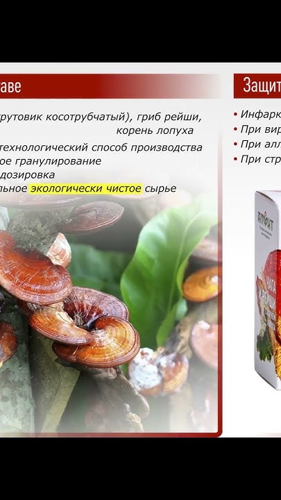 Концентрат на растительном сырье "Чага и рейши с корнем лопуха ...