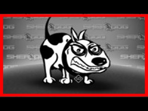 [NVC] Pudzianowski beats