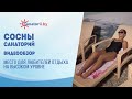 Видеообзор санатория Сосны (Нарочь), Санатории Беларуси