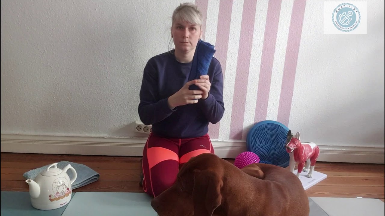 Massagetechnik - Heiße Rolle für Hund und Pferd