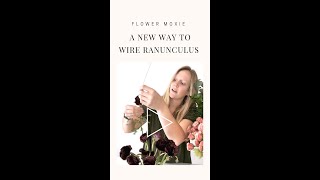 A New Way to Wire Ranunculus screenshot 1