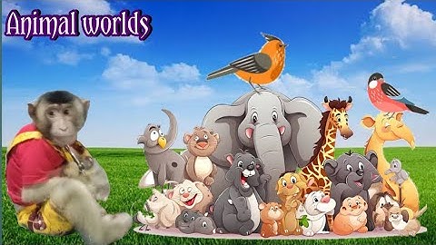Suara Hewan Peliharaan || Kuda Sapi Kerbau Kambing Ayam || Animal worlds