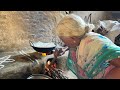 Grandma daily routine healthy breakfast village lifestyle  traditional cooking