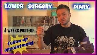 FTM Phallo | 4 Weeks Post Op (stage 1) Post Op Consultation Appointment