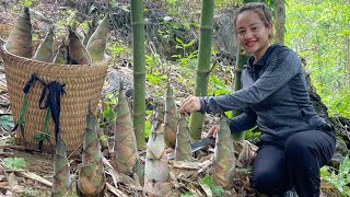 Harvest sweet bamboo shoots to go to the market to sell. pig care