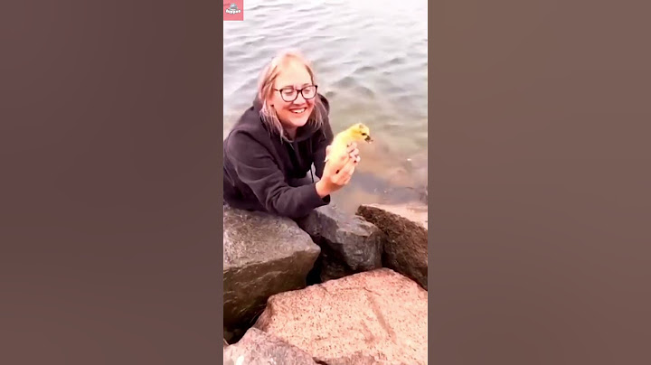 Woman Rescues Stuck Gosling ❤️ #birds #shortsfeed #shorts