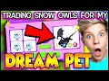 I GOT MY DREAM PET TRADING SNOW OWLS! Adopt Me Trading! Plus Adopt Me TikToks. Winter Update Prezley