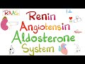Renin Angiotensin Aldosterone System RAAS Physiology 