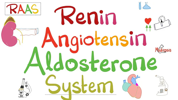 Renin Angiotensin Aldosterone System (RAAS)  -  Physiology