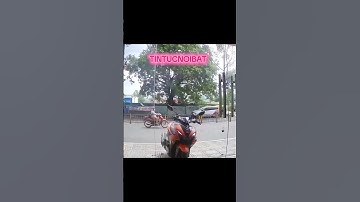 Cây bật gốc đè vào người đi xe máy #tintucnoibat #news #shorts