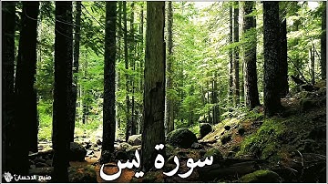 سورة يس كامله بصوت القارئ محمد مطار ❤