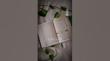 #يوم_الجمعة #سورة_الكهف #قرآن #قران_كريم #تلاوة_خاشعة #راحة_نفسية #اكسبلور #quran #فارس_عباد #المصحف