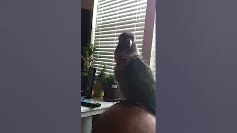Lu Lu says Jason