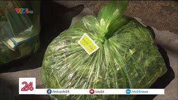 Người dân còn bỡ ngỡ phân loại rác tại nguồn | VTV24