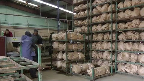 Packing, Preparing, & Shipping Tree Seedlings | Bare Root Liners