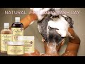 NATURAL / RELAXED Wash Day with SHEA MOISTURE JAMAICAN CASTOR OIL RANGE