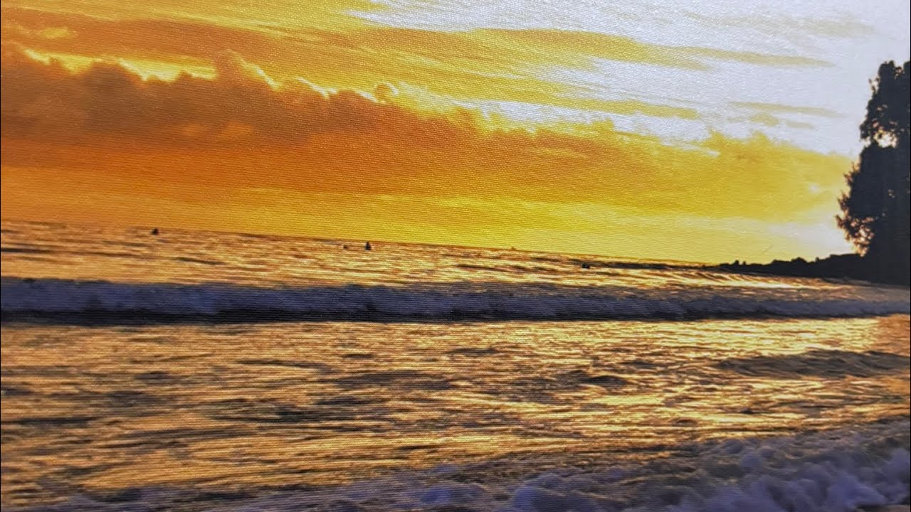 48 Hours Stranded on Stradbroke Island(3 Guys, No Experience) 🇦🇺