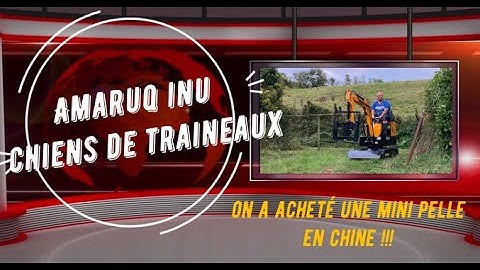 On achète une mini pelle en chine !!! Import ALIBABA  !!! Bon ou Mauvais Plan ?