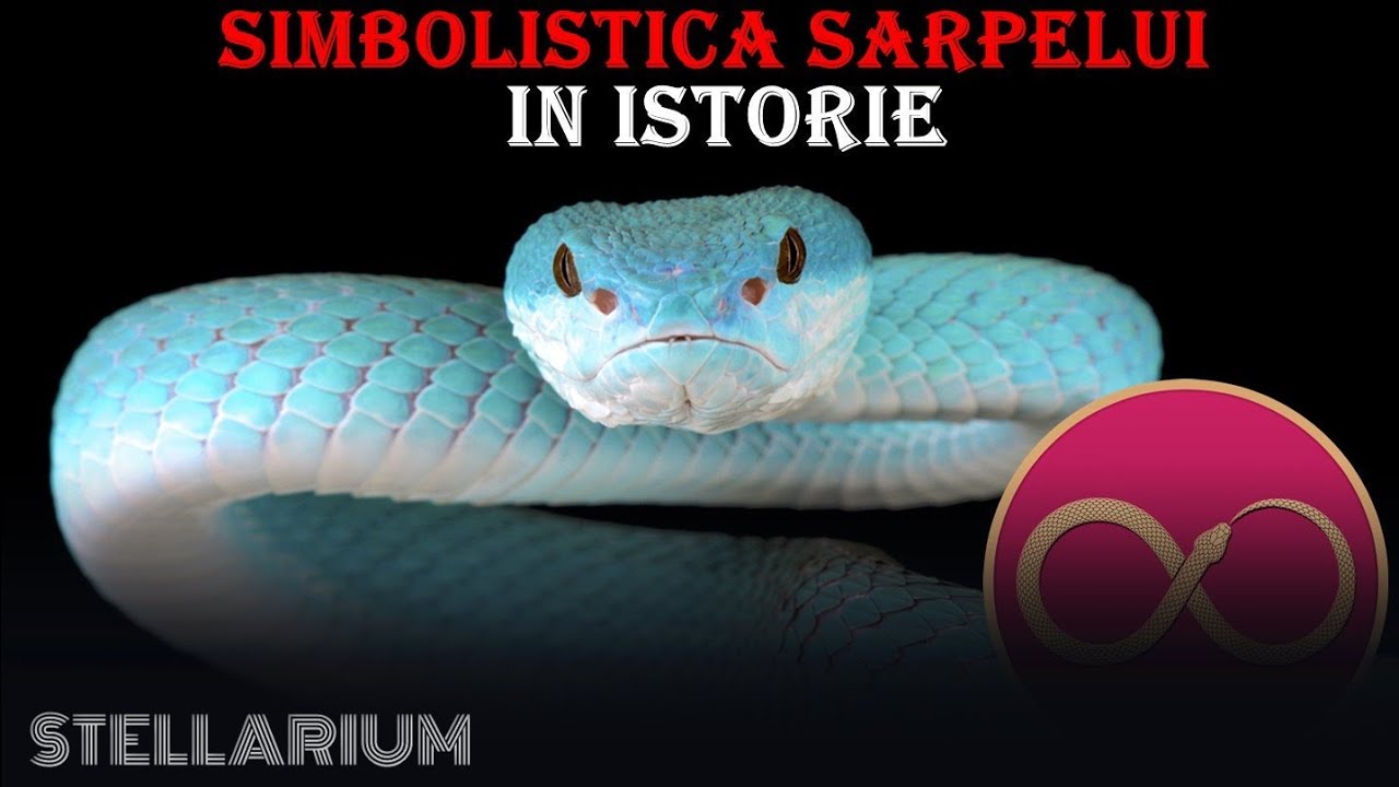 mitologia-sarpelui-de-la-zeu-la-blestem-youtube