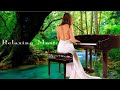 Beautiful Relaxing Music - Soft Piano & Guitar Music with Birds Singing For Stress Relief, Study