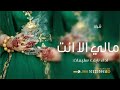 شيلة مالي إلا انت ــ اداء نايف سليمان 