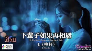 下辈子如果能再相遇(if we meet again in the next life)mmsub