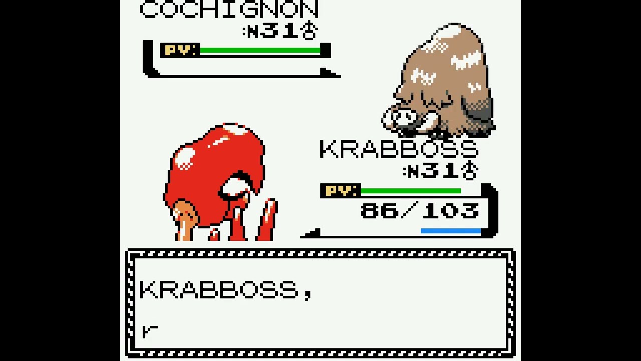 Pokémon Gold Version (French) - Gym Leader Pryce