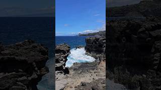 Salty remains &amp; waves #maui #mauibeach #shorts