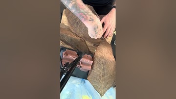 How to roll a premium cigar Part 1. Binder prep of cigar. 