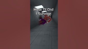 How Tf did I survive #scary baboon #gorillatag #juke