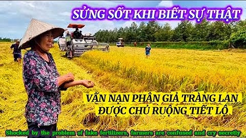 BÀNG HOÀNG TRƯỚC VẤN NẠN PHÂN THUỐC GIẢ CHỦ RUỘNG CHIA SẺ SỰ THẬT RÚNG ĐỘNG|Giải Trí Miền Tây