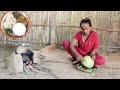 Rural Village Food | Nepali Traditional Maize Rice Cooking | Village Woman Cooking Delicious Food