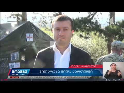 შიდა ქართლის რწმუნებული გამშვებ პუნქტებში არსებული ვითარებას გაეცნო
